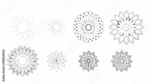 Progressive floral sketches showing a flower developing from outline to detail