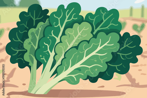 Cartoon leafy green vegetables growing in soil with broad dark green leaves and light green veins.