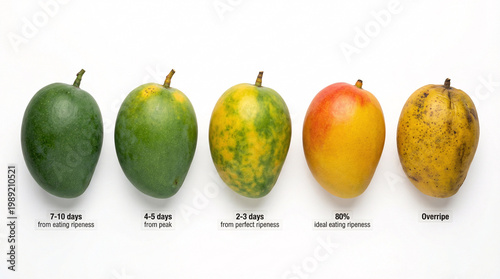 фотографія A row of mangoes in different stages of ripeness