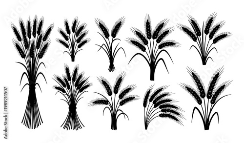 Wheat stalk silhouette vector set grain agriculture harvest illustration