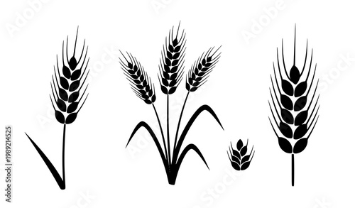 Wheat grain silhouette vector agriculture crop harvest illustration set