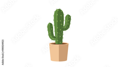 Green cactus with sharp spines growing in terracotta clay pot isolated on white background represents nature and indoor houseplant home decor.