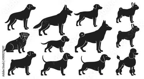 Various Breeds of Dogs in Different Poses