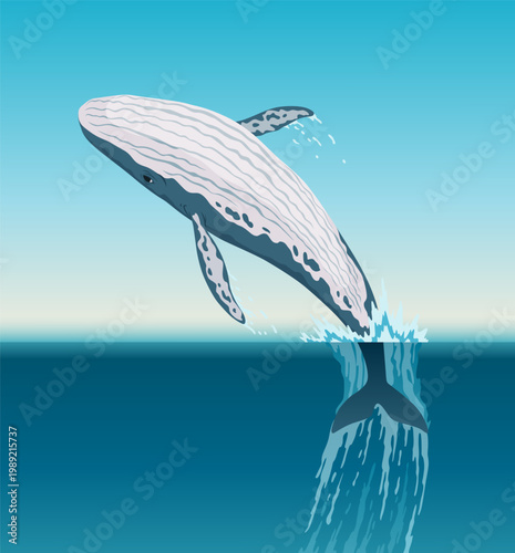 Whale jumping under the blue ocean surface. Winter arctic vector illustration. Iceland