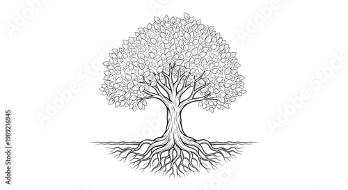 Detailed black and white line drawing of a large tree with many leaves and a complex root system growing into the ground for nature.