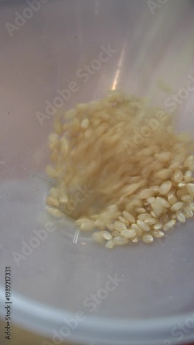 Brown rice pouring into funnel, food processing and grain production concept, vertical, video