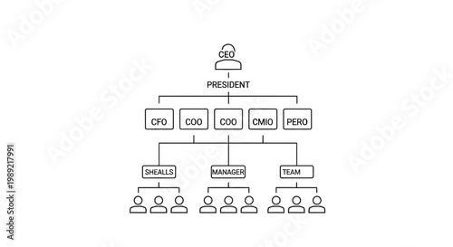Hierarchical organizational chart illustrating company structure and management roles.