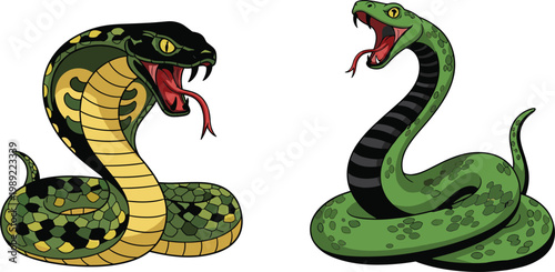 Aggressive cobra snake illustrations set with open mouth fangs and forked tongue detailed colorful vector isolated design