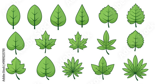 Collection of various green leaf types.