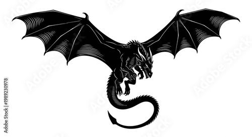 Black dragon with wings spread wide.