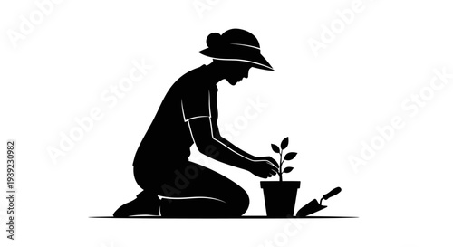 Person Planting a Small Green Plant.