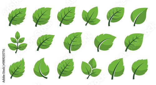Collection of various green leaf shapes.