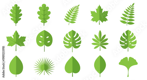 Collection of various green leaf types.