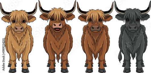 Highland cow characters set with different colors fluffy hair and horns cute farm animal vector illustration isolated design