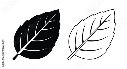 Two leaf icons one solid and one outline black and white silhouette