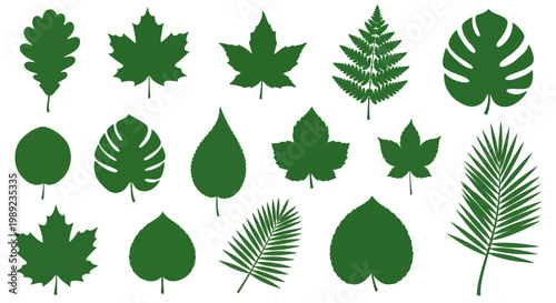 Collection of various green leaf shapes.