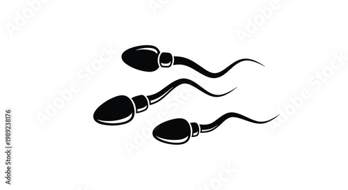 Biological illustration of three sperm cells swimming together on a white background representing fertility and reproduction processes.