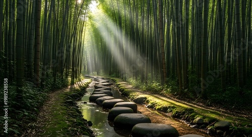 Sunbeams Pierce Through Lush Bamboo Forest Illuminating Stone Path Over Creek