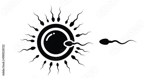 Medical illustration showing human fertilization process with sperm cells swimming towards an egg cell on a plain background.