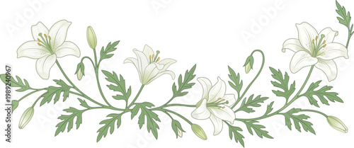 White Lily Floral Border Wedding Summer Design