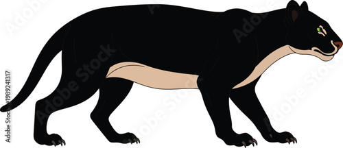 Illustration of Brown lioness walking right side view