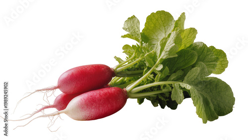Foto Fresh vibrant red radishes with lush green leaves and delicate roots, perfectly