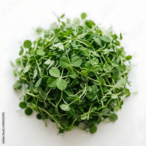 Fresh green pea shoots microgreens on white background for healthy eating and nutrition  young pea sprouts with small leaves and stems