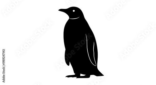 Black Penguin Silhouette Isolated on White Background