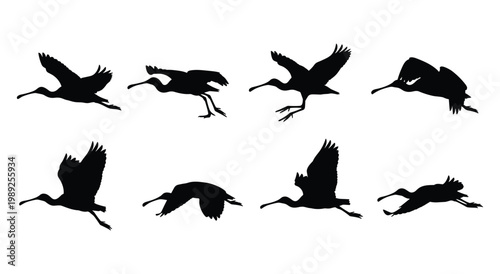 Set of 8 Crane Silhouettes in Running Taking Off and Flying Poses Isolated on White Background