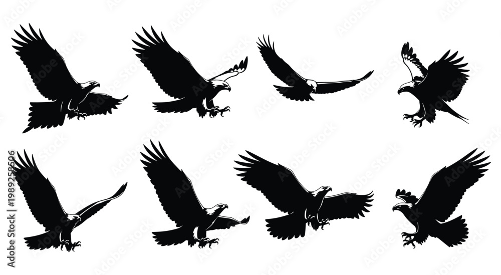 Obraz premium Set of 8 Eagle Silhouettes in Hunting and Diving Action Poses Isolated on White Background
