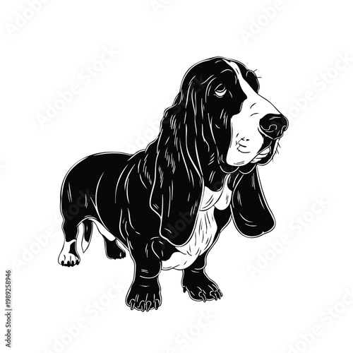 Basset hound silhouette set bundle for design.
