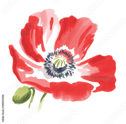 poppy, flower, floral, bloom, blossom, botanical, plant, nature, garden, red, soft, pastel, delicate, petals, leaves, stem, bud, foliage, wildflower, natural, organic, vintage, retro, classic, handdra