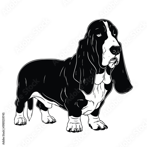 Basset hound standing silhouette set bundle, dog vector illustration.