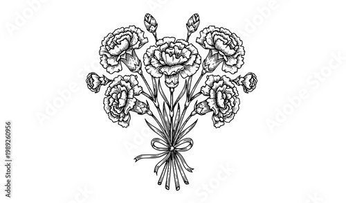 Retro carnation flower engraving set botanical hand drawn vector elements for invitation design
