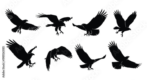 Bald Eagle Silhouette Set — Attacking and Perching Bald Eagle Black Silhouettes Vector Collection Isolated on White