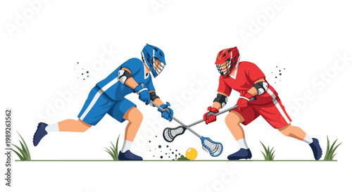 Dynamic vector illustration of two lacrosse players in blue and red jerseys battling for a ground ball during an intense face-off.