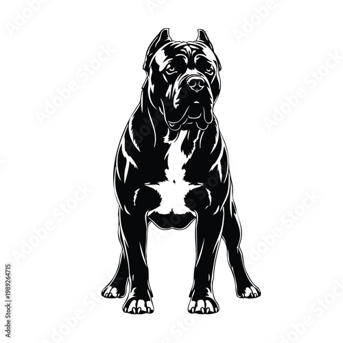Cane corso dog silhouette, set bundle of powerful purebred animal.