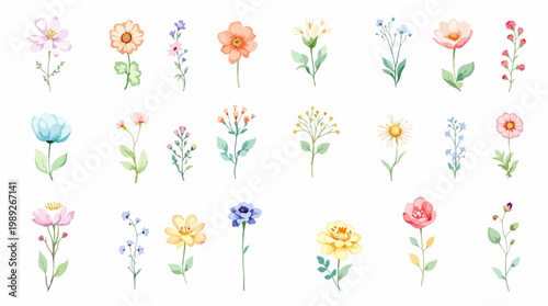 Natural botanical frame with warm tones and delicate flowers offering a peaceful and refined design.