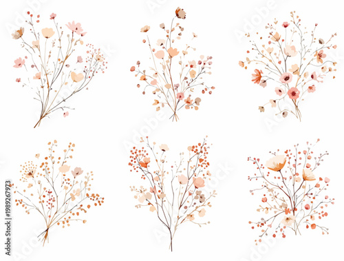 Watercolor dried flowers collection with warm neutral color palette