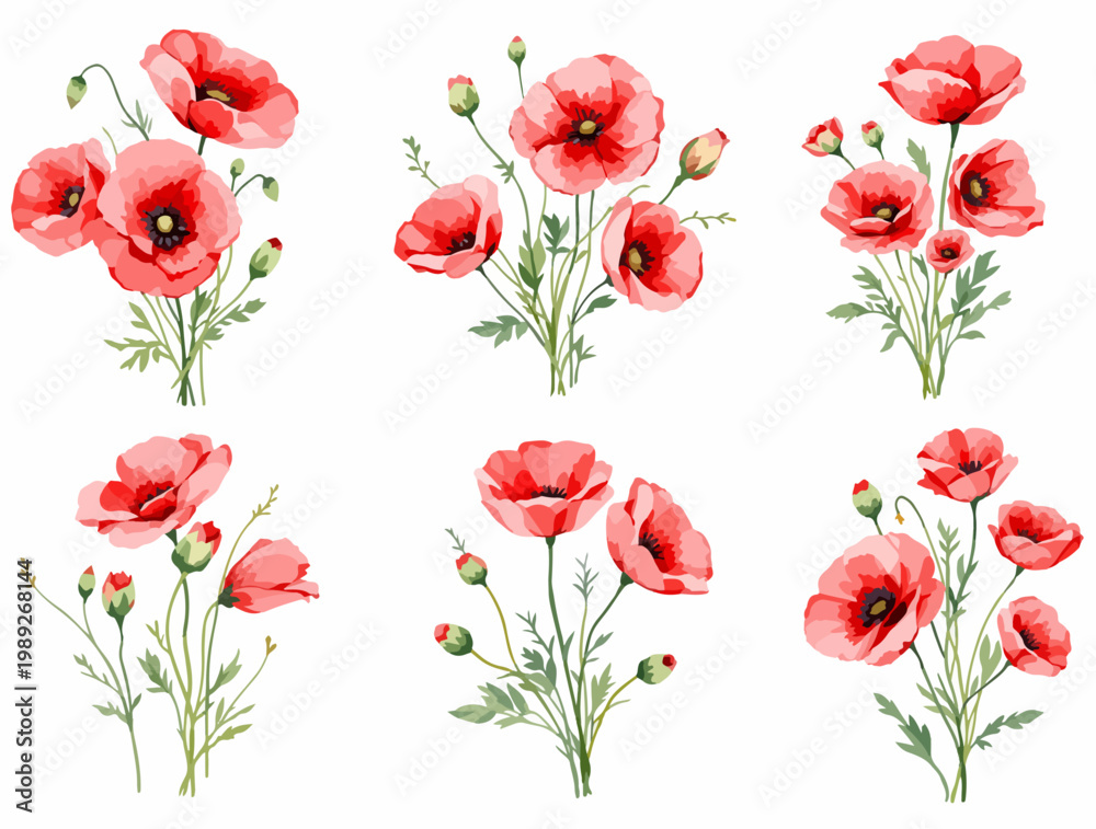 Fototapeta premium Fresh spring poppy flower bouquet bundle for creative craft projects