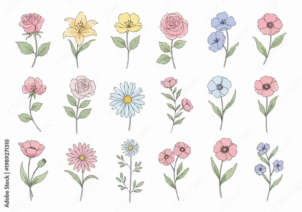 Obraz premium Airy watercolor flowers arranged in a soothing and elegant botanical design