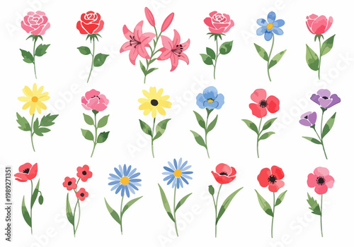 Minimalist floral illustrations capturing the essence of spring with delicate petals and calming color palettes.