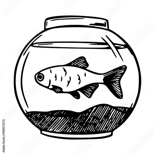 vintage fishbowl illustration with single goldfish sketch