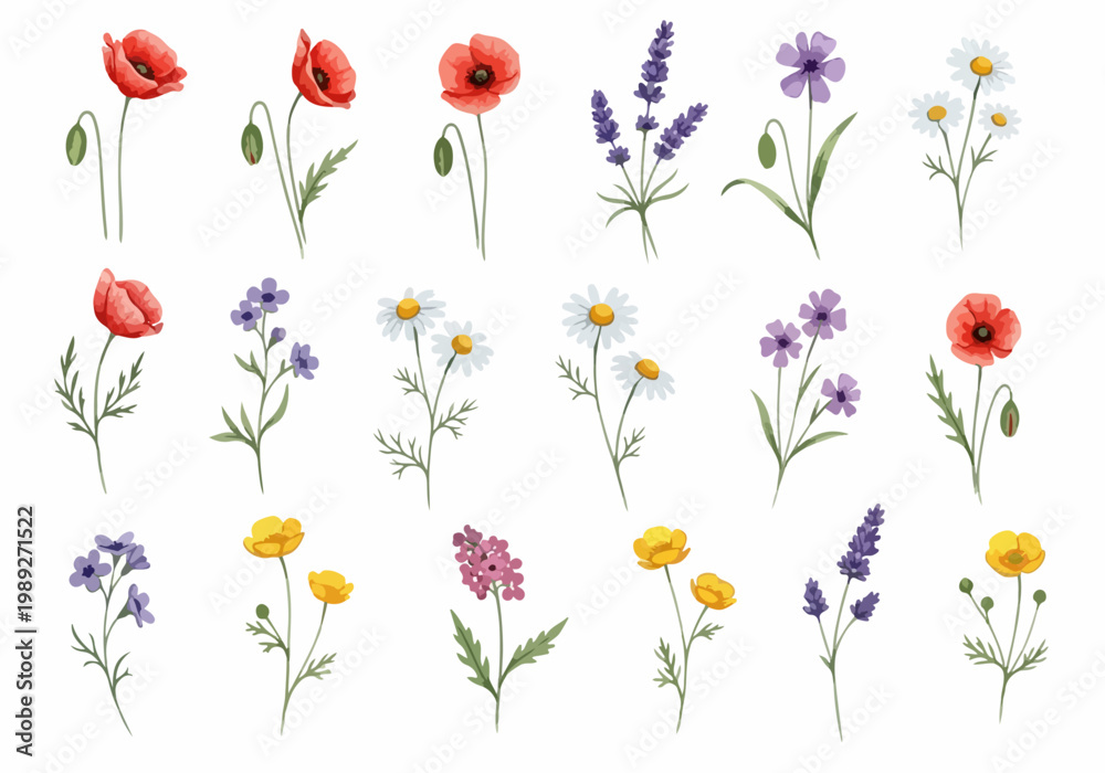 Fototapeta premium Soft blooming florals painted in a whimsical and elegant watercolor style