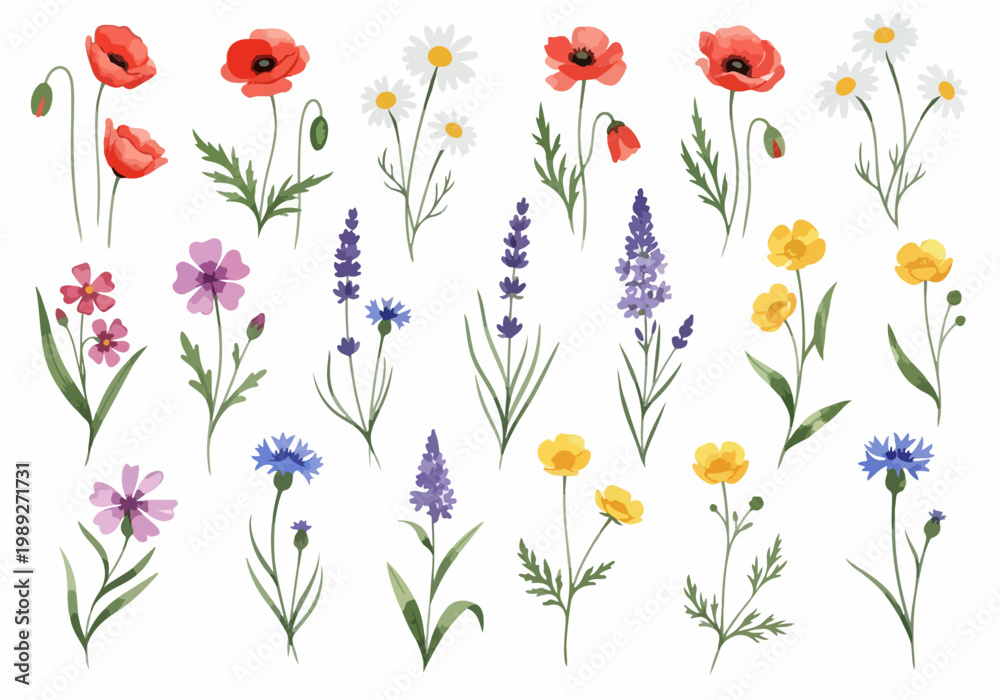 Fototapeta premium Soft botanical elements painted in watercolor with gentle color transitions