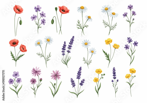 A charming collection of watercolor florals in soothing pastel shades