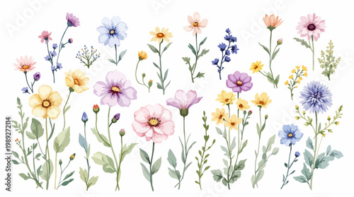 Subtle and delicate watercolor flowers arranged in a peaceful botanical design