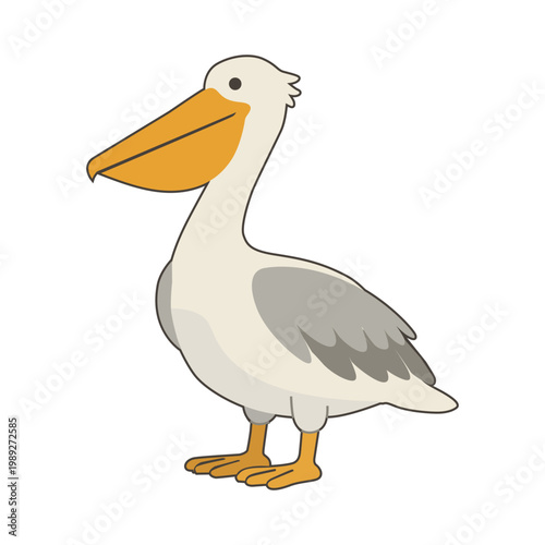 Illustration of a Pelican design