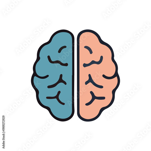 Left and Right Brain Hemispheres Icon