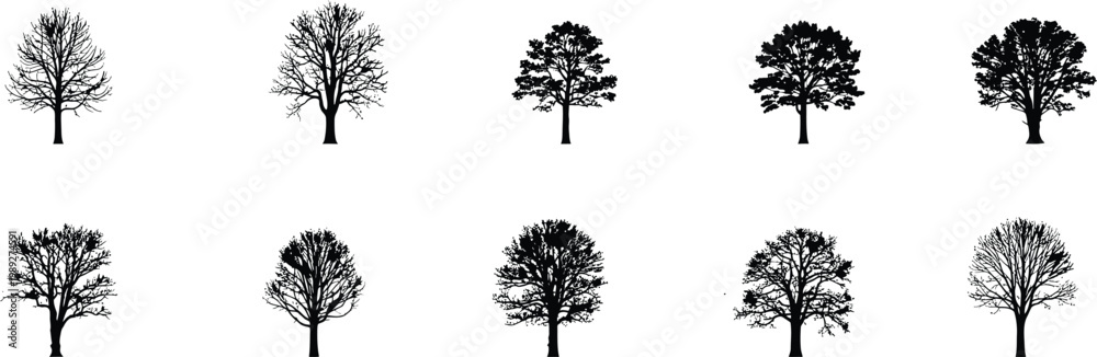 Fototapeta premium Collection of silhouetted evergreen trees a black and white vector illustration